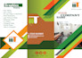 design a professional flyer